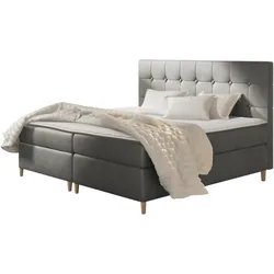 BOXBETT Avanti - H3