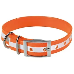 Stepland Leuchthalsband für Hunde (Hund, Allgemein), Halsband + Leine