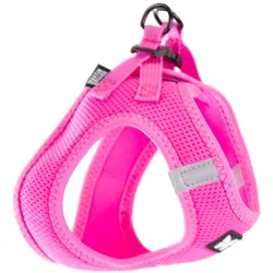 Martin Sellier Hunde-Geschirr aus Mesh (S, Hund, Spazieren), Halsband + Leine