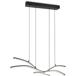 Trio Select Pendelleuchte Spider Metall Schwarz