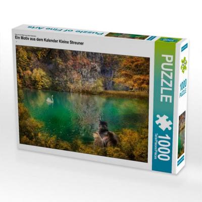 CALVENDO Puzzle Ein Motiv aus dem Kalender Kleine Streuner | 1000 Teile Lege-Größe 64x48cm Foto-Puzzle für glückliche Stunden