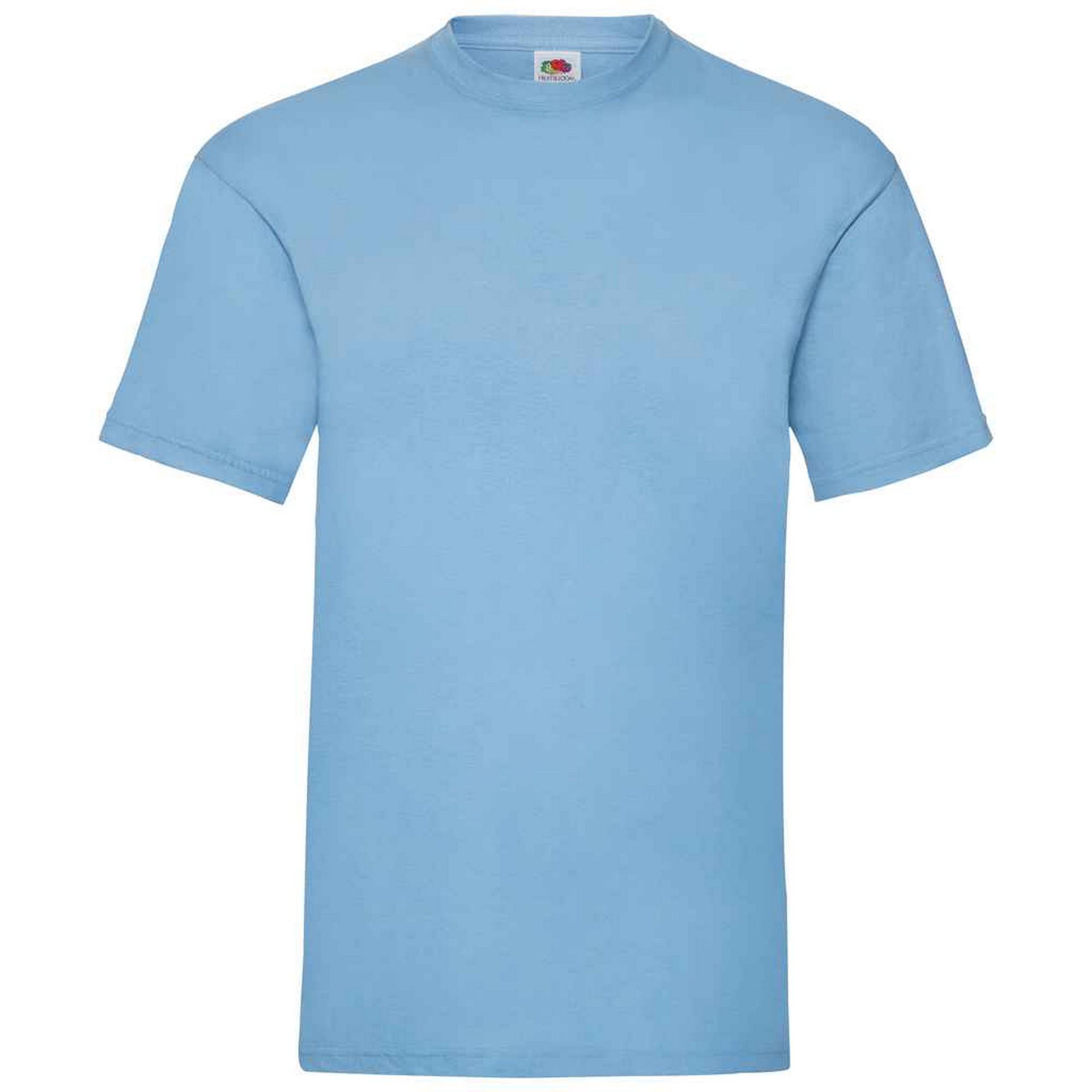 Fruit of the Loom Heren Valueweight T-Shirt (Sky)