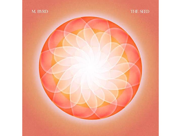 Seed