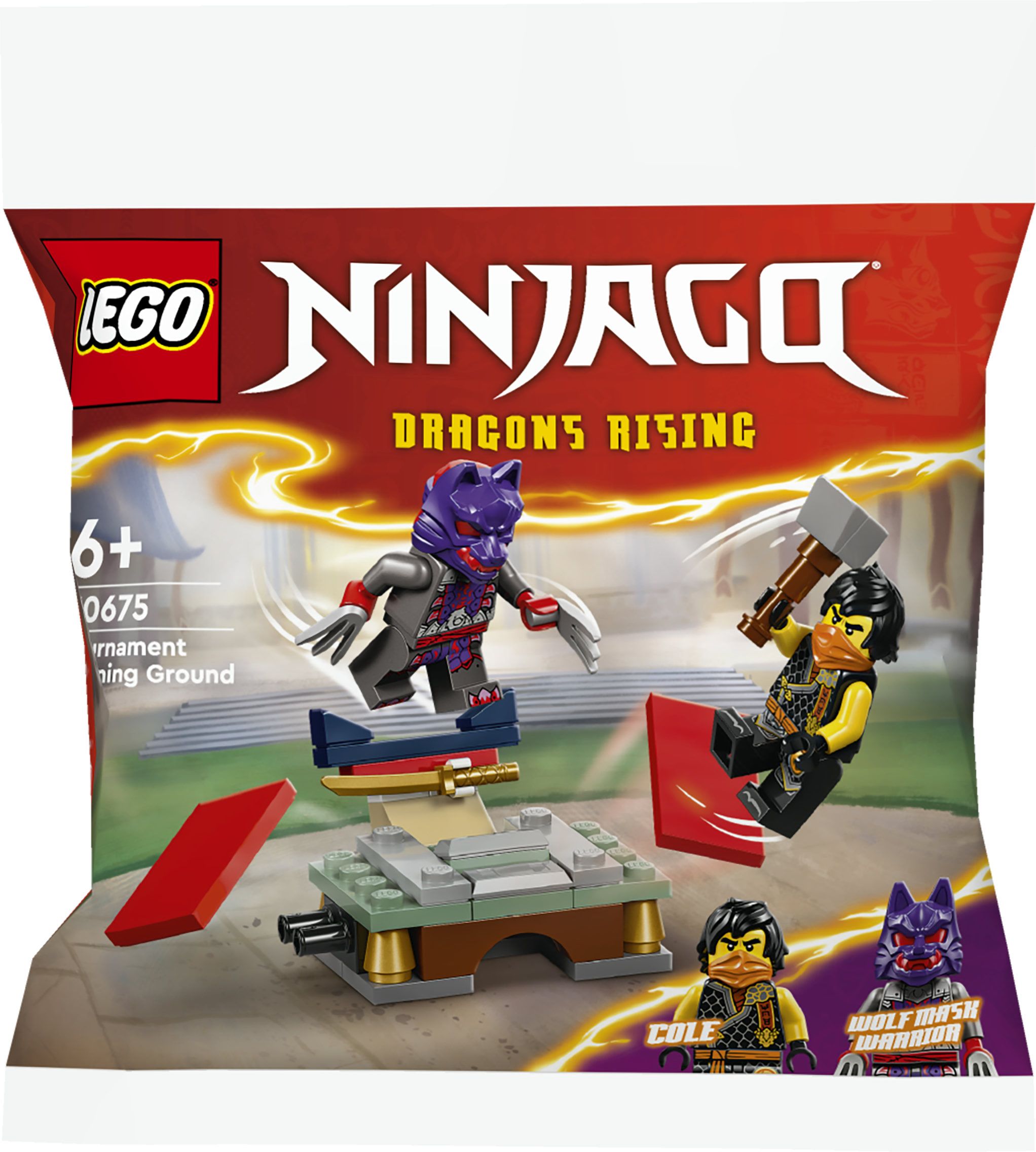 LEGO Turnier-Trainingsgelände 30675