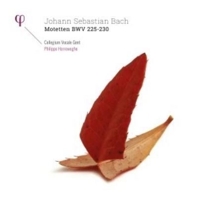 Motetten BWV 225-230 - Philippe Herreweghe,Collegium Vocale Gent, Vinyl
