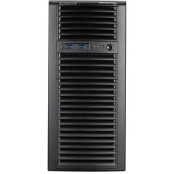 Bluechip bluechip SERVERline T30335a (32 GB, Tower Server), Server