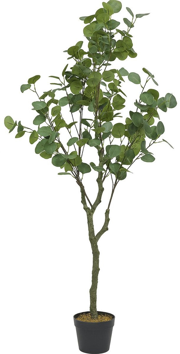 Kunstplant Eucalyptus voor volwassenen