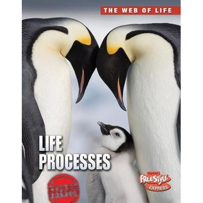 Life Processes, Taschenbuch von Anna Claybourne, Capstone, 978-1-4109-4430-6
