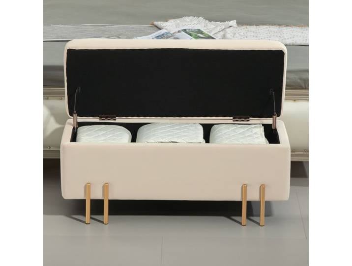 ROVRYN Banc de rangement rembourré beige 100 x 40 x 42 cm avec coffre intégré