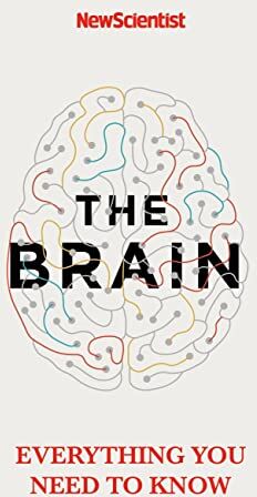 New Scientist - The Brain: Everything You Need to Know - Preis vom 09.10.2026 07:28:09 h