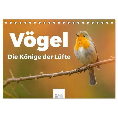 Vögel - Die Könige der Lüfte (Tischkalender 2027 DIN A5 quer), CALVENDO Monatskalender