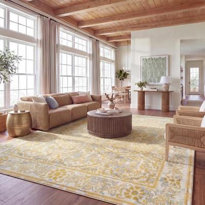 SAFAVIEH Evoke Celeste Vintage Boho Rug