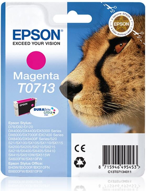 TINTEIRO EPSON C13T0713
