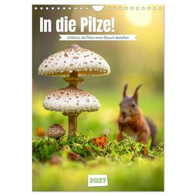 In die Pilze (Wandkalender 2027 DIN A4 hoch), CALVENDO Monatskalender