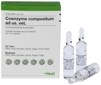Biologische Heilmittel Heel GmbH COENZYME COMPOSITUM ad us.vet.Ampullen 5X5 ml 04871358
