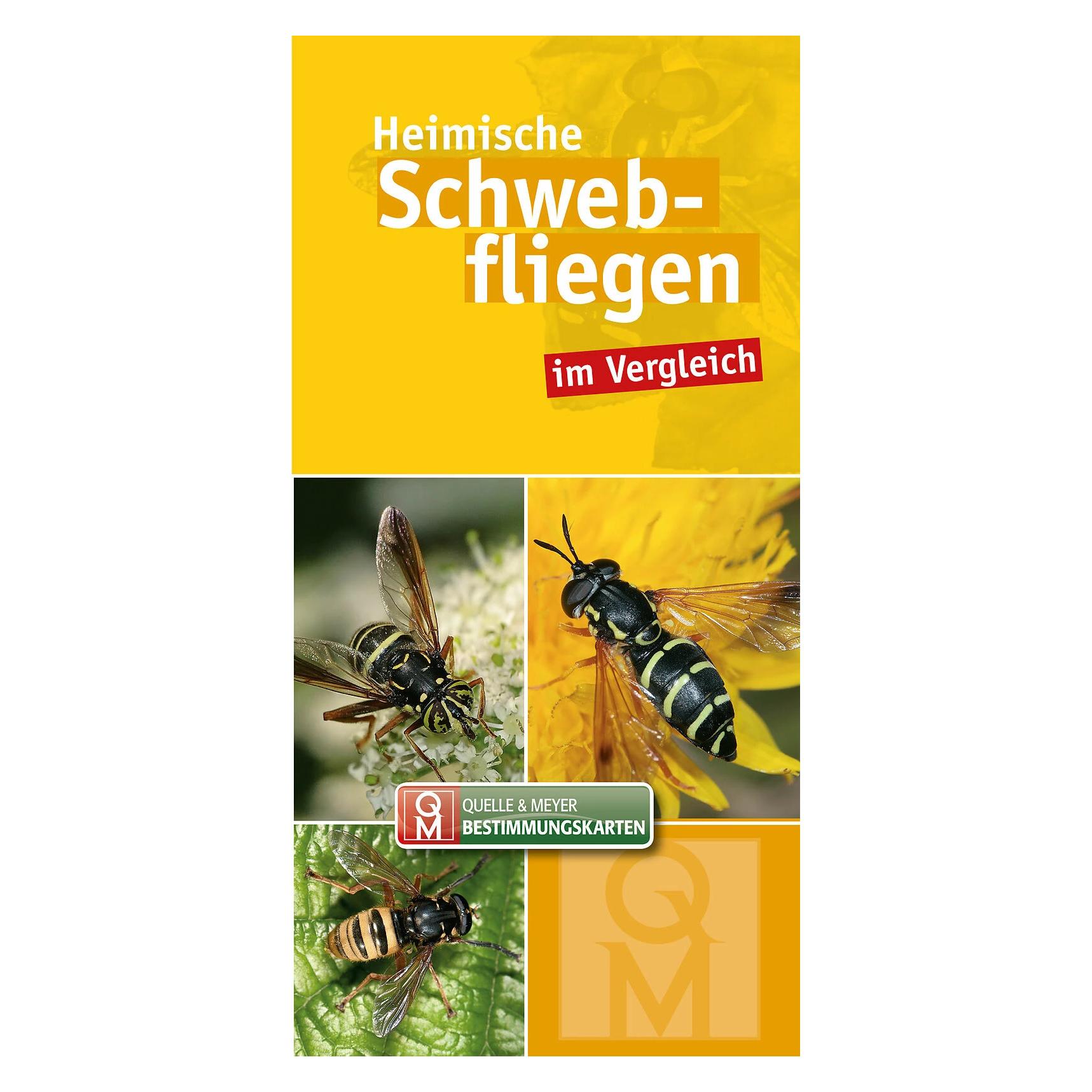 Quelle & Meyer Heimische Schwebfliegen (Deutsch, Quelle & Meyer Verlag, 2018) (39517767)