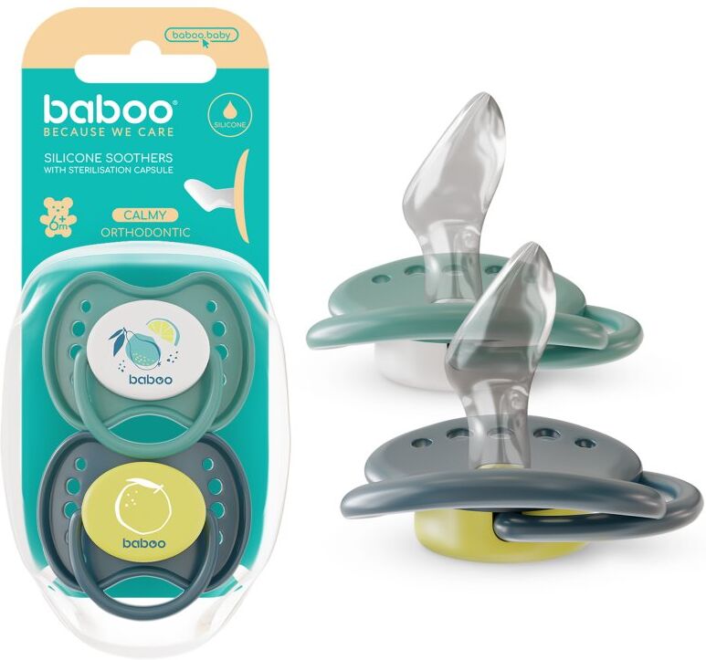Baboo Soothers Silicone Orthodontic with Case tétine Lagoon Fiesta 6-12 m 2 pcs