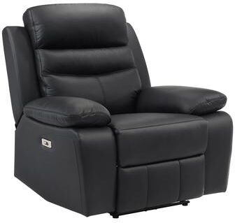 Fremont & Park Peperomia Leather Match Power Reclining Chair