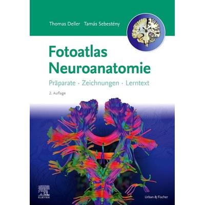 Fotoatlas Neuroanatomie, Taschenbuch von Katrin Eichler,Thomas Deller,Tamás Sebestény,Stephanie Tritt, Urban & Fischer in Elsevier, 978-3-437-41243-1