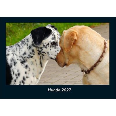 Hunde 2027 Fotokalender DIN A4