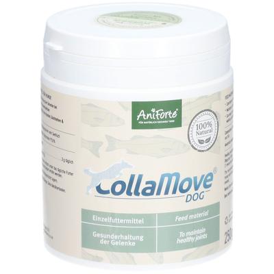 AniForte® CollaMove® dog 250 g Pulver