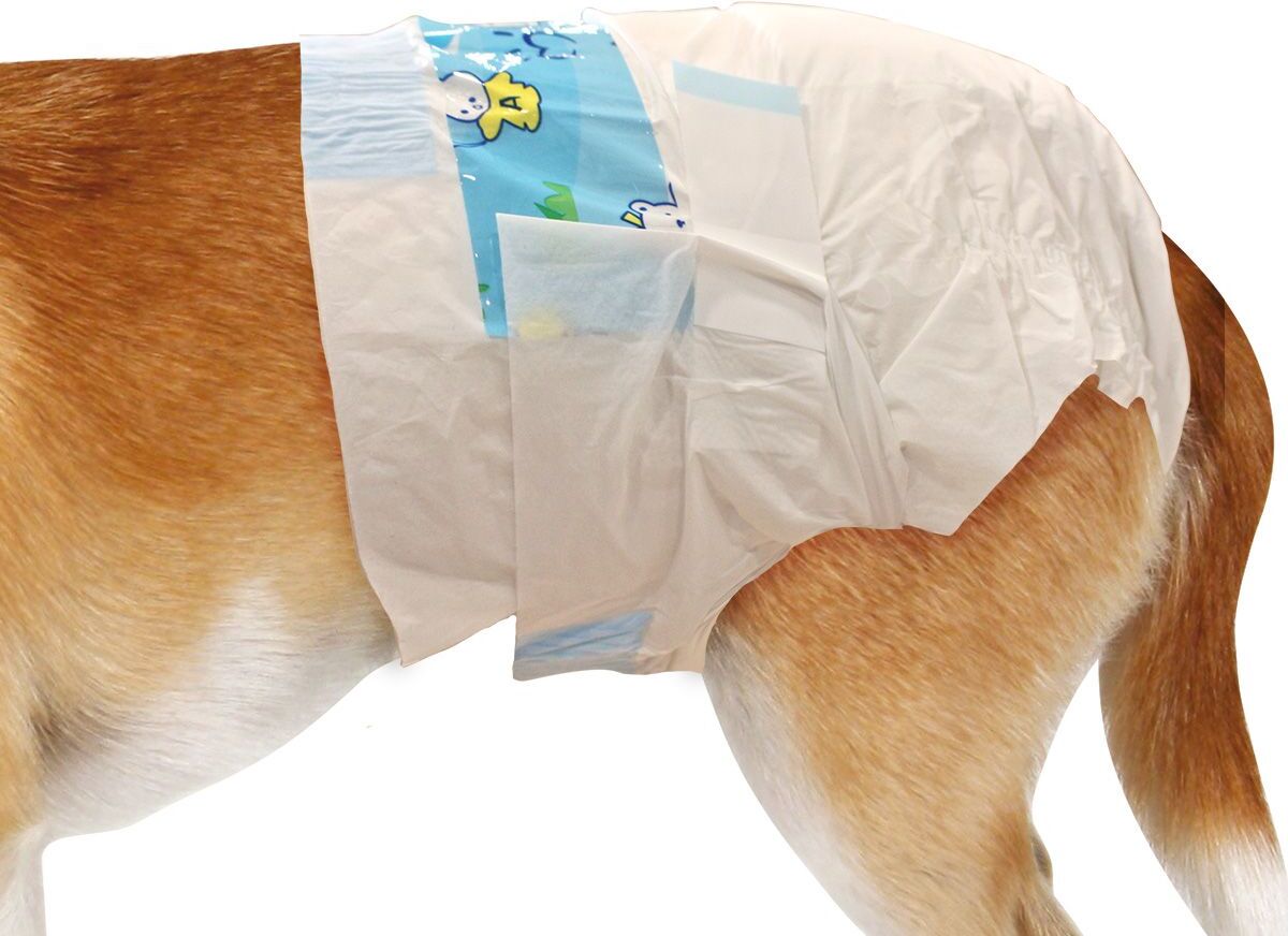 LOVEDI Lovedì Pannolino per Cani Femmine Mutandina 12PZ M