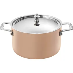 Scanpan Maitre D' Kochtopf mit Deckel, 3,5 l
