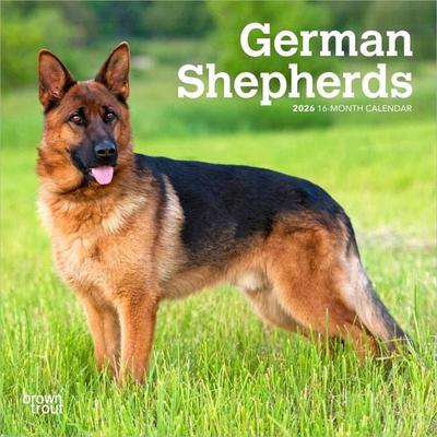 German Shepherds 2026 7 X 14 Inch (Hanging) Monthly Mini Wall Calendar
