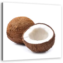 WANDBILD kokosfrucht