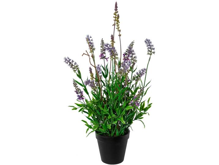 Kunstblume CREATIV GREEN Lavendel im Topf 48cm hoch , lila, H:48cm, Obermaterial: 100% Polyethylen, Kunstpflanzen, Kunstblume, Kunstpflanze täuschend echt mit filigranen Blüten