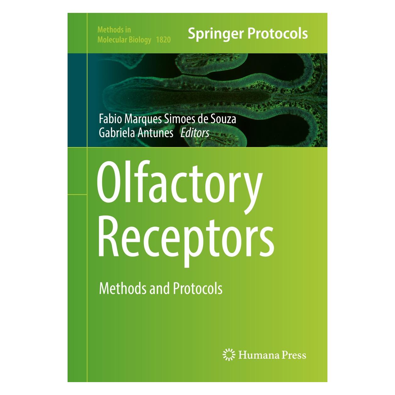 Springer Olfactory Receptors (Englisch, Hardcover, Fabio Marques Simoes de Souza, Gabriela Antunes) (9781493986088)