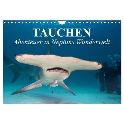 Tauchen - Abenteuer in Neptuns Wunderwelt (Wandkalender 2027 DIN A4 quer), CALVENDO Monatskalender