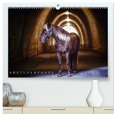 Shetlandpony Kalender (hochwertiger Premium Wandkalender 2027 DIN A2 quer), Kunstdruck in Hochglanz