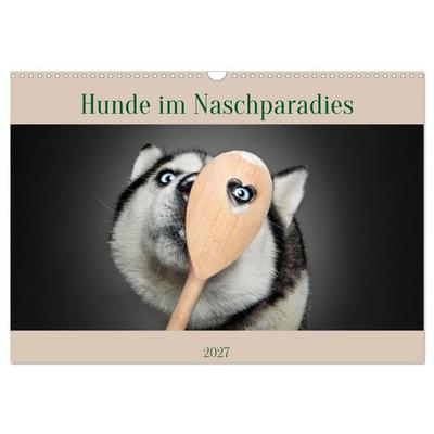 Hunde im Naschparadies (Wandkalender 2027 DIN A3 quer), CALVENDO Monatskalender