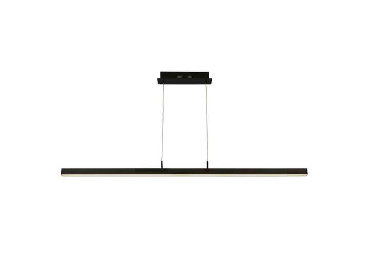 LED-Hängeleuchte Schwarz/Weiß max. 17 Watt