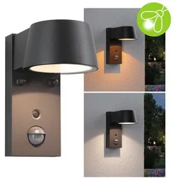 Paulmann 94714 LED Außenwandleuchte Capea Bewegungsmelder insektenfreundlich IP44 Tunable Warm 6W