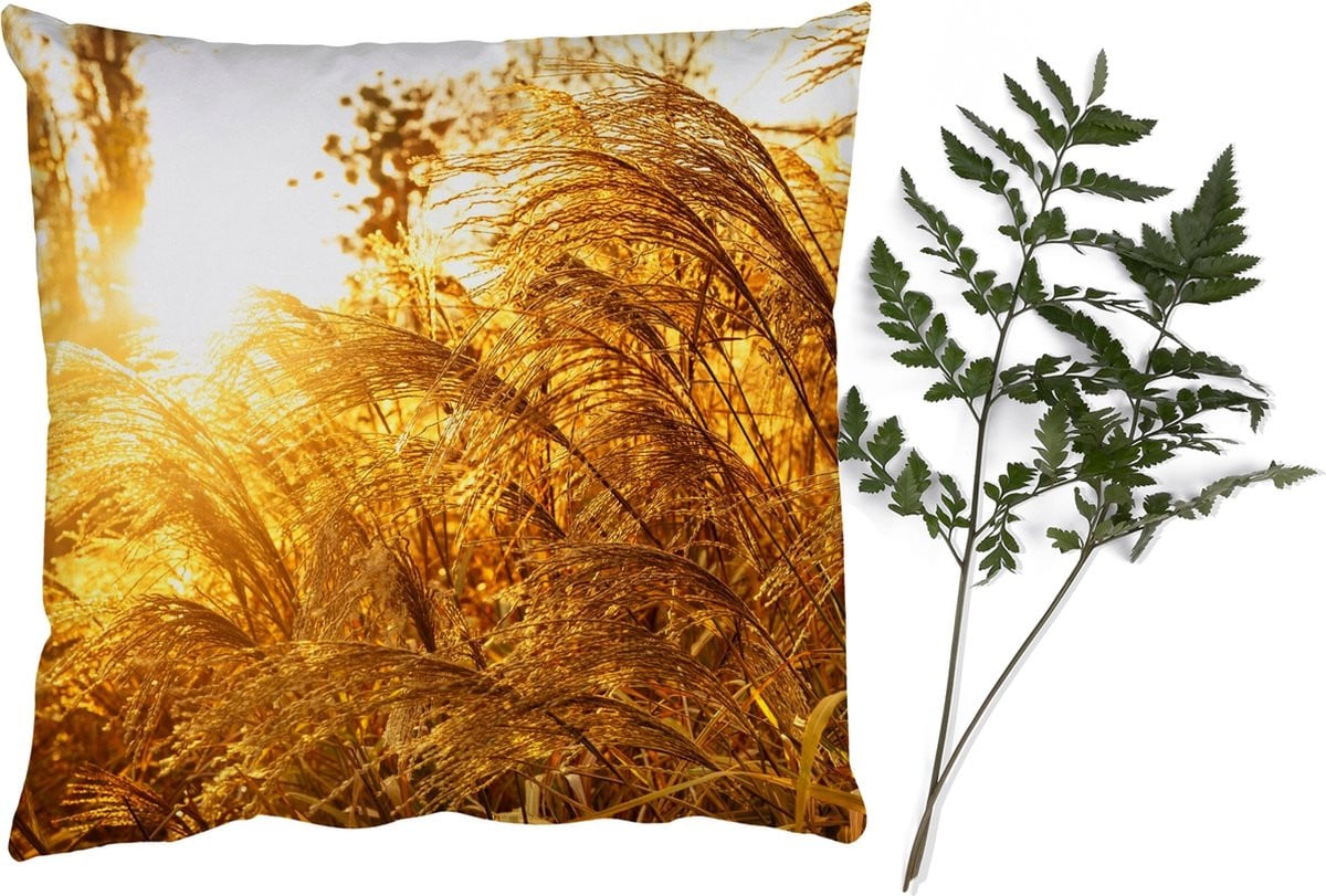 PillowMonkey Sierenkussen Pampasgras Zon - 60 x 60 cm