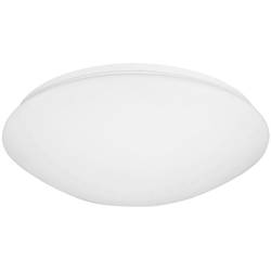 Niermann 68036 Deckenleuchte Energiesparlampe, LED E27 15 W Weiß