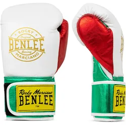 BENLEE Boxhandschuhe aus Leder METALSHIRE