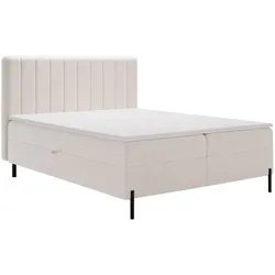 BOXBETT Primavera 140x200 Creme