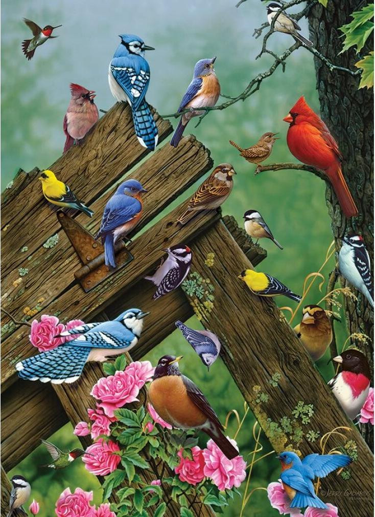 Cobble Hill Puzzel Vogels van het bos 1000 stukjes