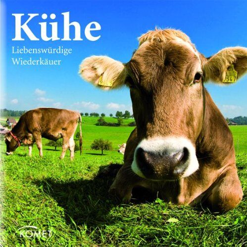Lutz Schiering - Kühe: Liebenswürdige Wiederkäuer - Preis vom 04.10.2026 03:51:26 h