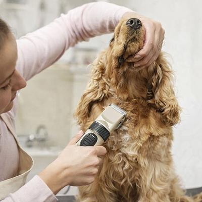 Drop Dash Deals Dog & Cat Grooming Kit Cordless Rechargeable Hair Clipper Trimmer Set For Pets Dog & Cat Grooming Kit Cordless Rechargeable Hair Clipper Trimmer Set For Pets