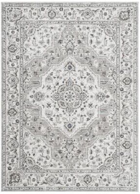 Home Dynamix Belmar Sterling Traditional Area Rug