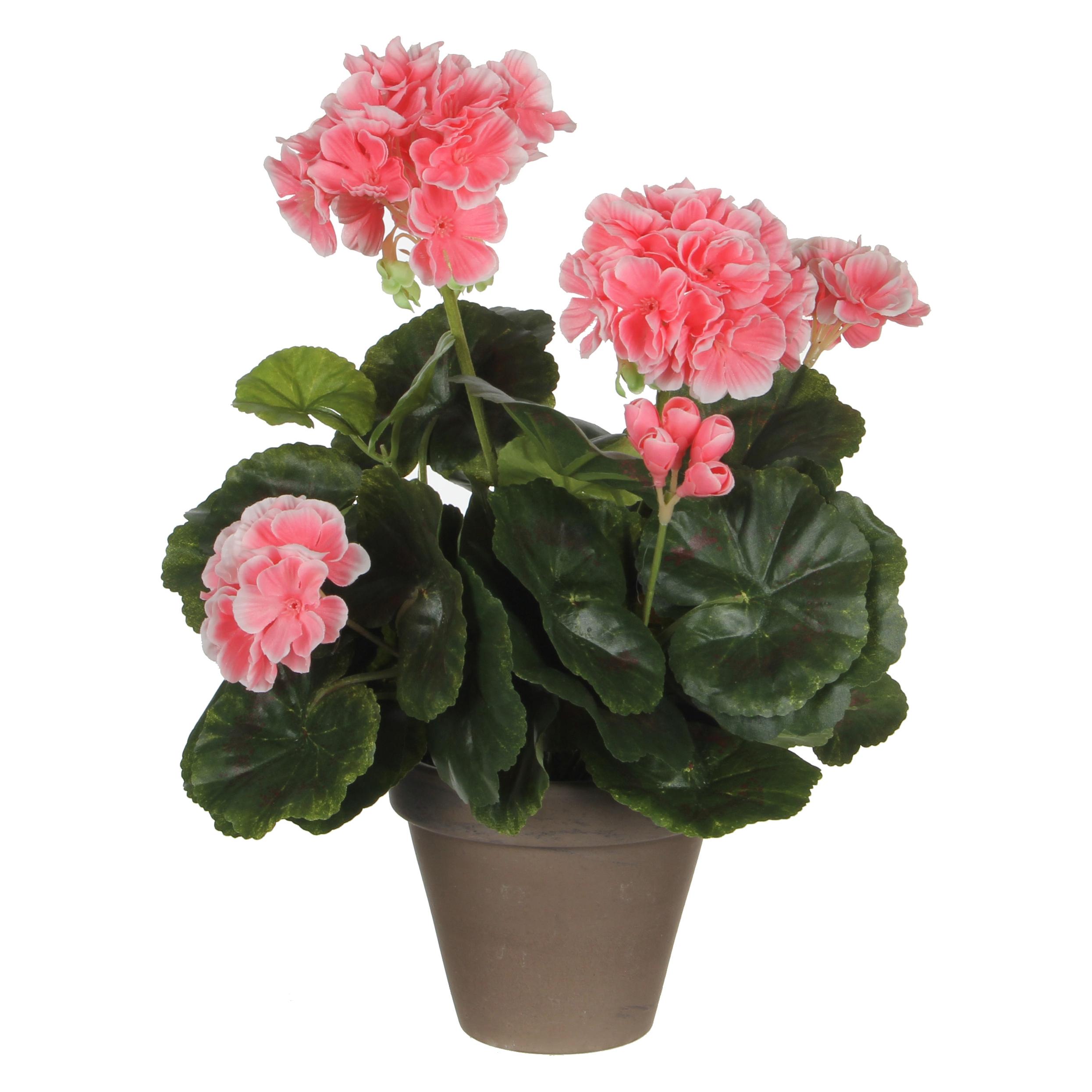 Mica Decorations Künstliche Geranie Pfirsich im grauen Topf (34 cm) (950217)