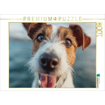 CALVENDO Puzzle Frischer Wind und treue Augen | 1000 Teile Lege-Größe 64 × 48 cm Foto-Puzzle für glückliche Stunden