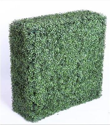 Xbrand Hedge Wall - Outdoor Artificial Privacy Plant - Great Gardenia and Ivy Substitute - DIY Hedge Divider