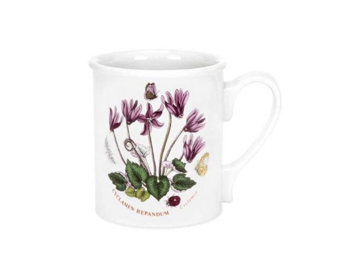 Portmeirion Botanic Garden Ontbijt Mok 8 oz