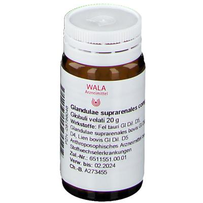 Glandulae Suprarenales comp.Globuli 20 g Globuli