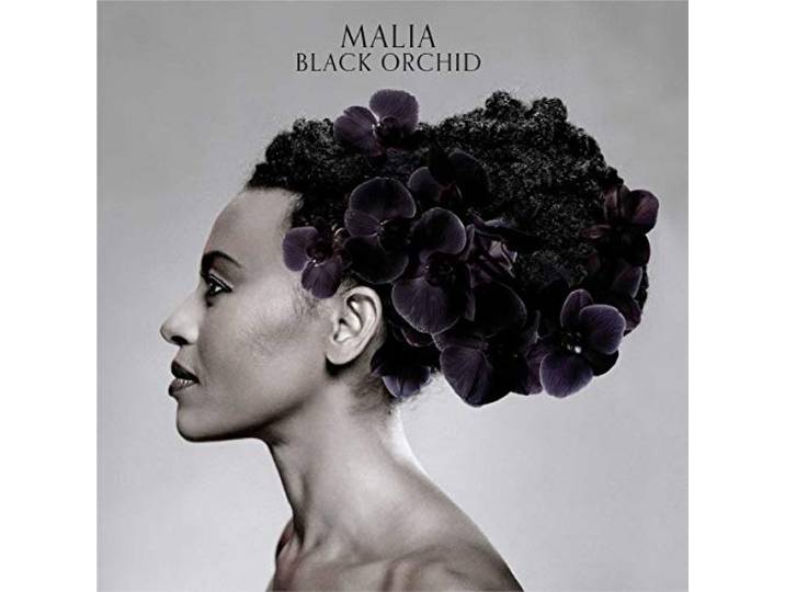 Malia - Black Orchid